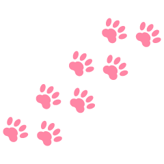 Cat Footprints