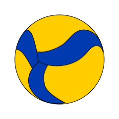 Volleyball Ball