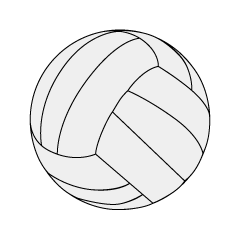 Balón de voleibol blanco