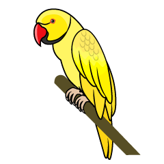 Yellow Parrot