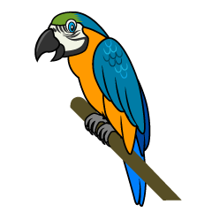 Cool Blue and Orange Parrot