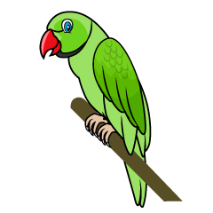 Cool Green Parrot 
