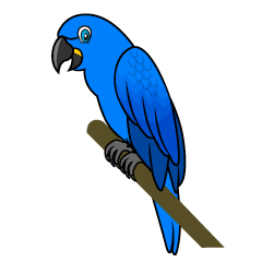 Cool Blue Parrot 