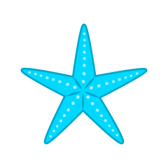 Light Blue Starfish