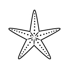 Black and White Starfish