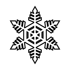 Snowflake Black and White 1