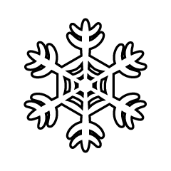 Snowflake Black and White  4