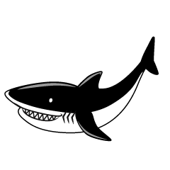 Shark Black and White
