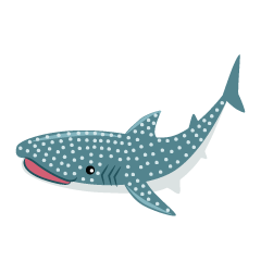 Cute Whale Shark