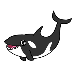 Orca Sonriente