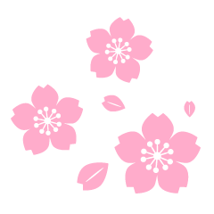 Many Simple Cherry Blossoms