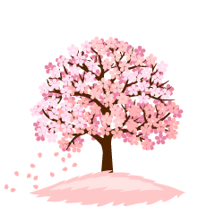 Cherry Blossom Tree with Falling Petals