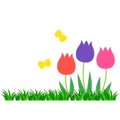 Butterflies and Tulips