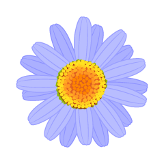 Blue Daisy Flower